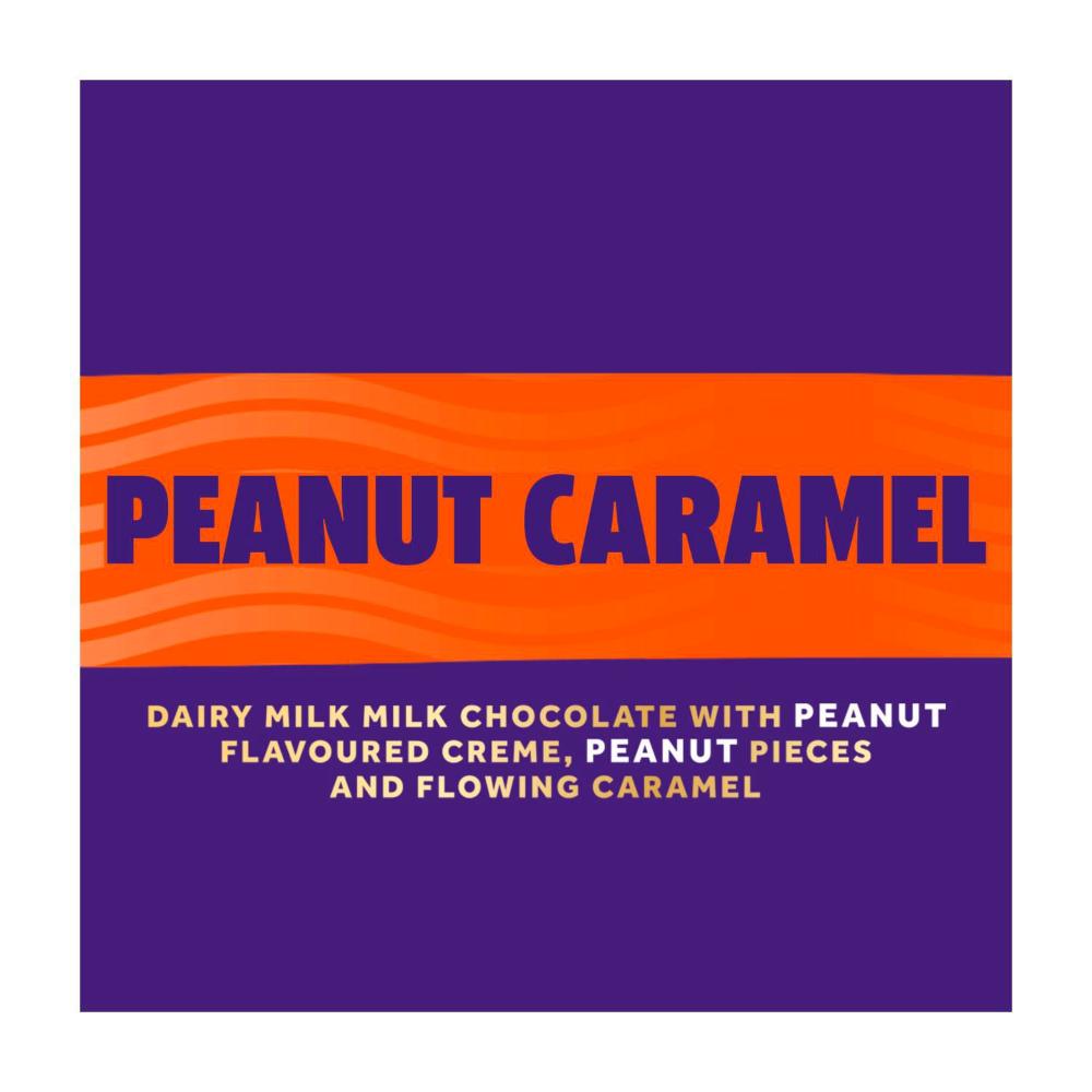 Cadbury Peanut Caramel Slice Chocolate Block | 170g